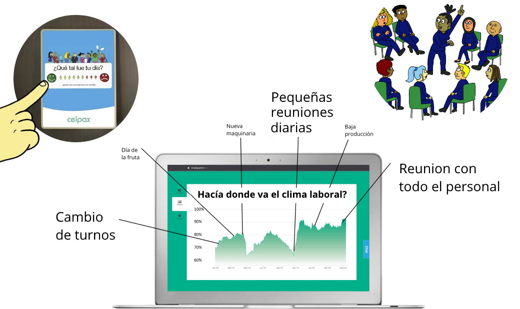 Base liderazgo celpax