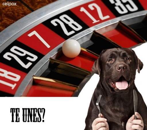 Ruleta de lunch en el trabajo