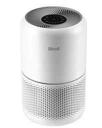 Air purifier gift for employees