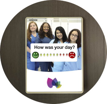 Gauge employee engagement CQC